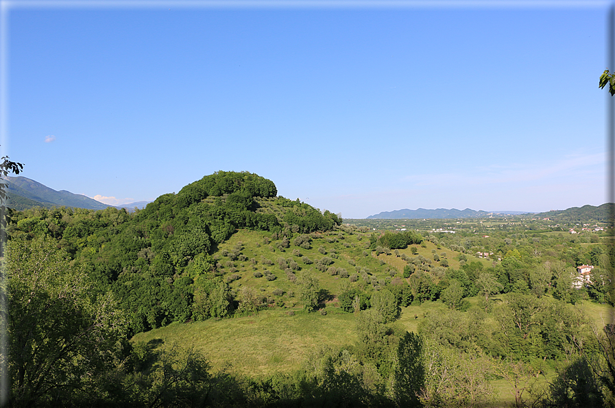 foto Colli degli Ezzelini